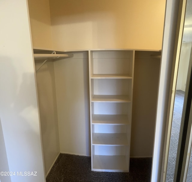 spacious closet with carpet flooring