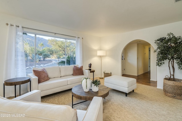 living room featuring hardwood / wood-style flooring