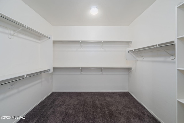 spacious closet featuring dark colored carpet