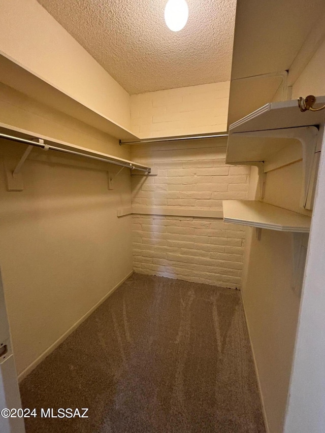 walk in closet with carpet floors