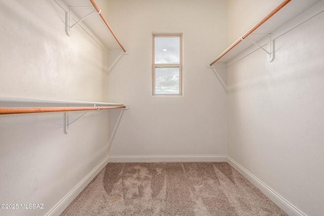 spacious closet with light colored carpet