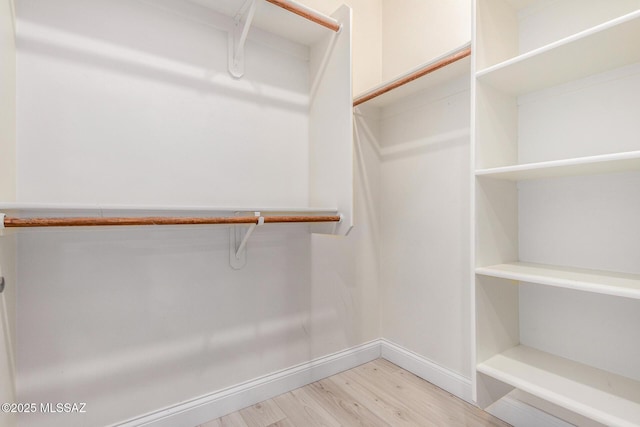 spacious closet with light wood-type flooring