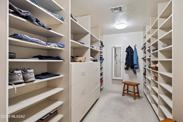 spacious closet featuring light carpet