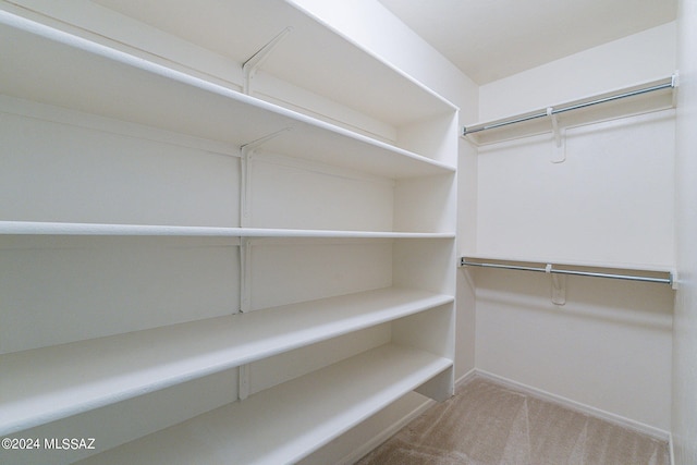 walk in closet featuring carpet flooring