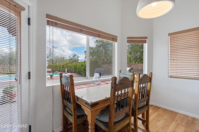 dining area featuring light hardwood / wood-style flooring and a healthy amount of sunlight