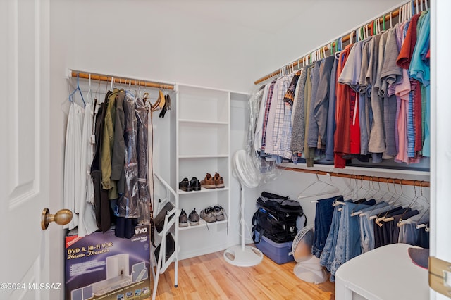 spacious closet with wood-type flooring