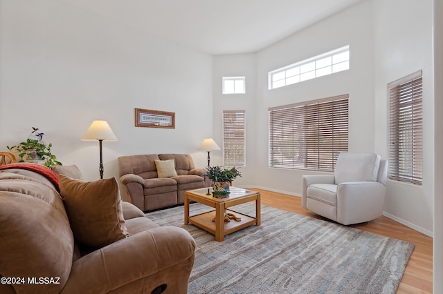 living room featuring light wood-type flooring