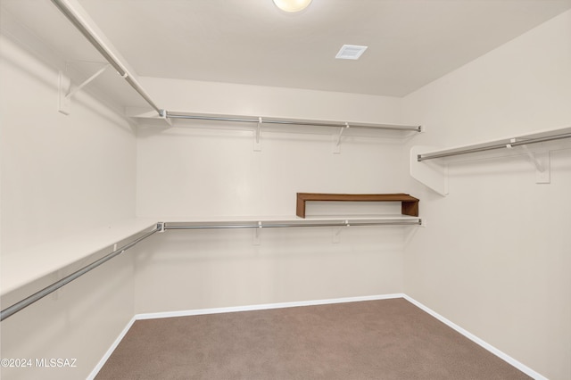 spacious closet featuring carpet flooring