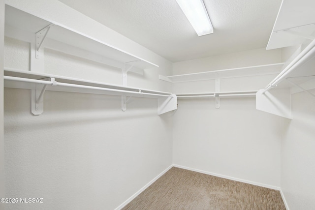 spacious closet featuring light carpet