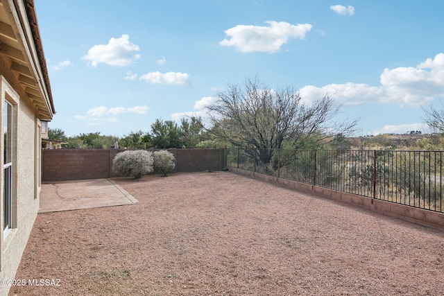 view of yard featuring a patio