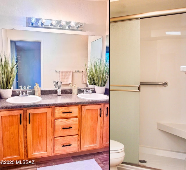 full bath featuring double vanity, toilet, and a sink