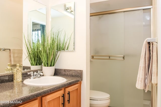 full bathroom with a shower stall, toilet, and vanity