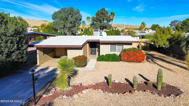 ranch-style house featuring a carport