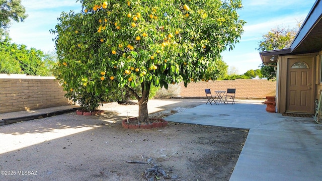 view of yard featuring a fenced backyard and a patio