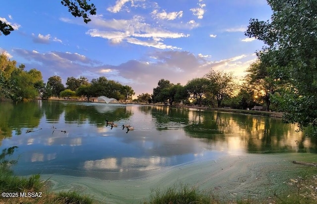 view of water feature