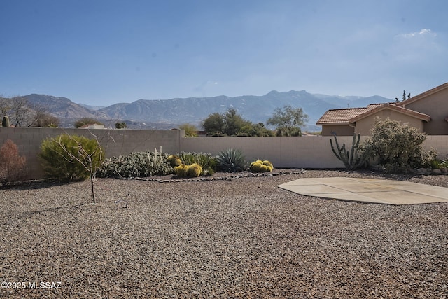 view of yard featuring a fenced backyard, a mountain view, and a patio