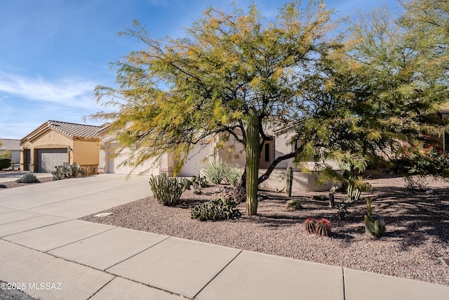 view of property hidden behind natural elements featuring a garage