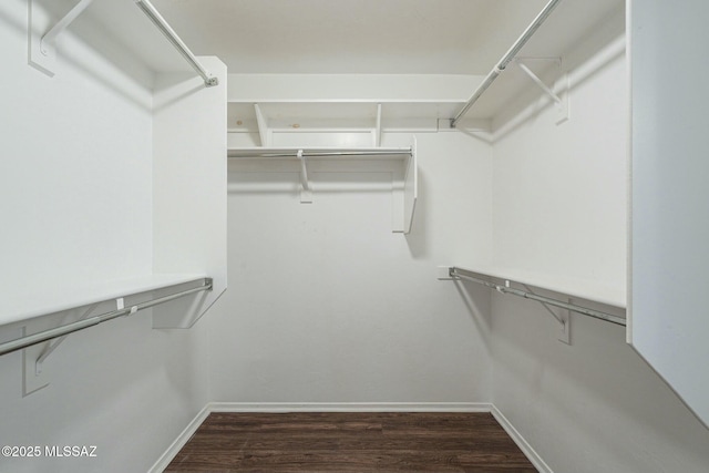 walk in closet with dark hardwood / wood-style flooring