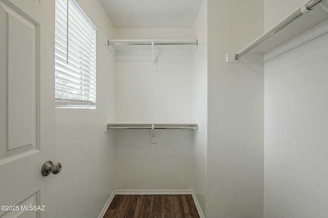 walk in closet featuring dark hardwood / wood-style flooring