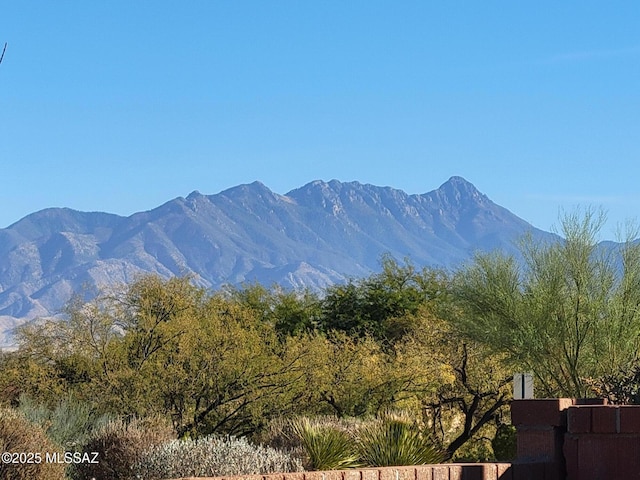 view of mountain feature