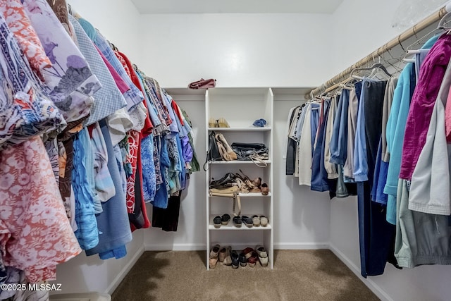 spacious closet with carpet