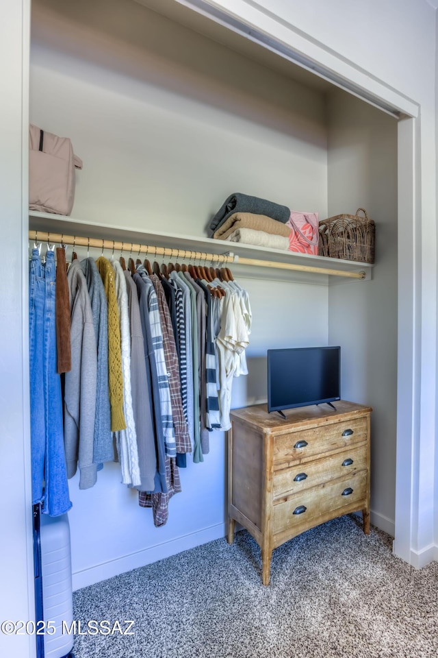 view of closet