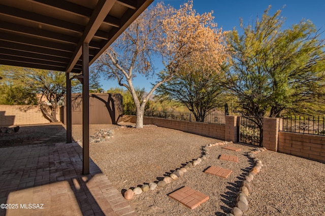 view of yard with a shed and a patio