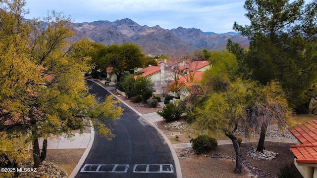 view of mountain feature