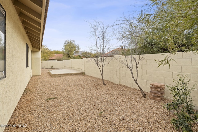 view of yard featuring a patio area