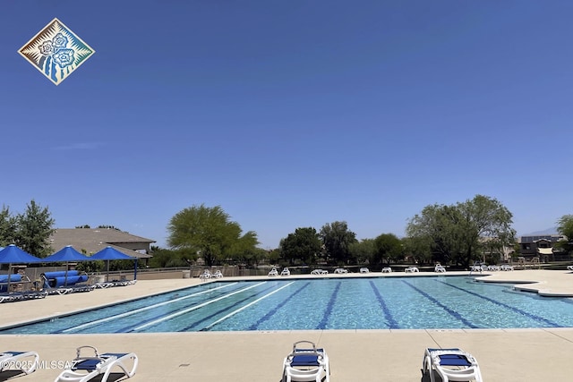 view of swimming pool featuring a patio