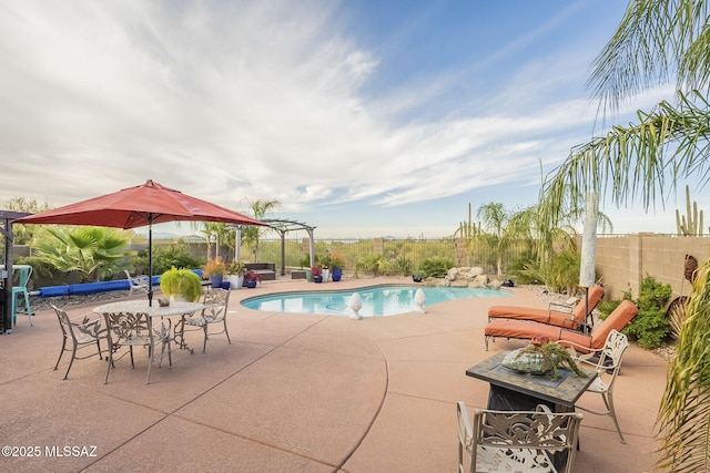 view of swimming pool featuring a patio