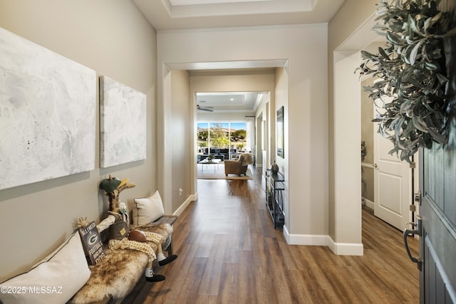 hall featuring a raised ceiling and dark hardwood / wood-style flooring