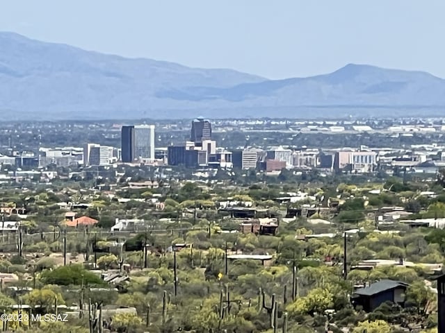 view of city featuring a mountain view