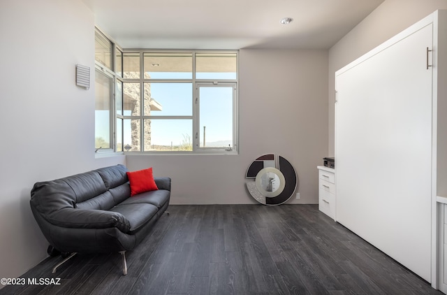 sitting room featuring dark hardwood / wood-style flooring