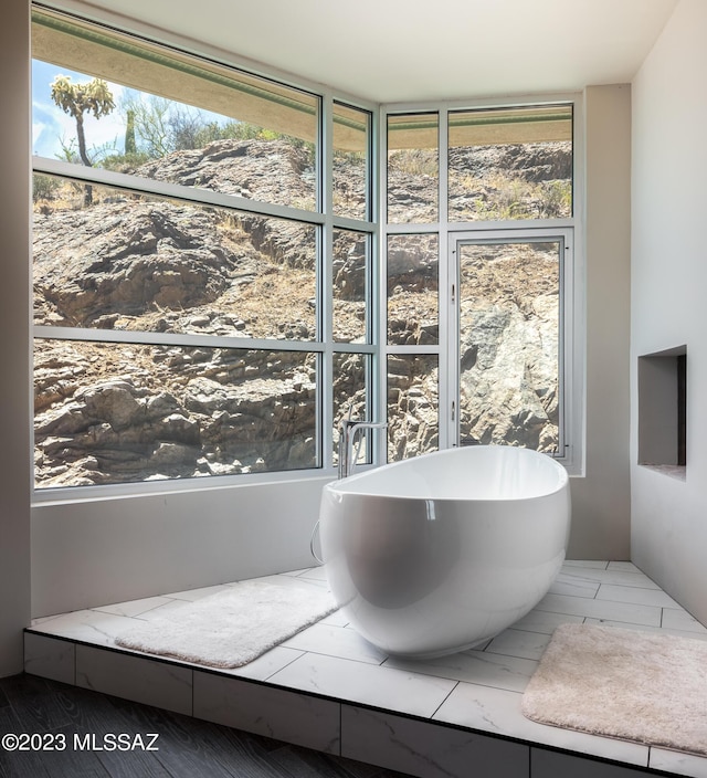 bathroom with a bathtub and a wealth of natural light