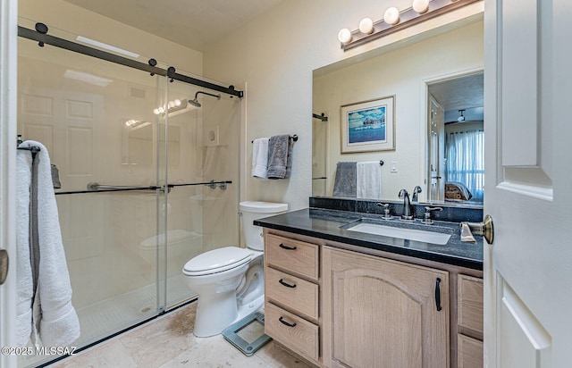 bathroom with a shower stall, toilet, and vanity