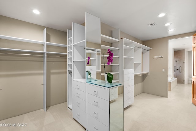 6872 E Desert Wind Ct, Tucson, AZ 85750 - walk in closet with light colored carpet