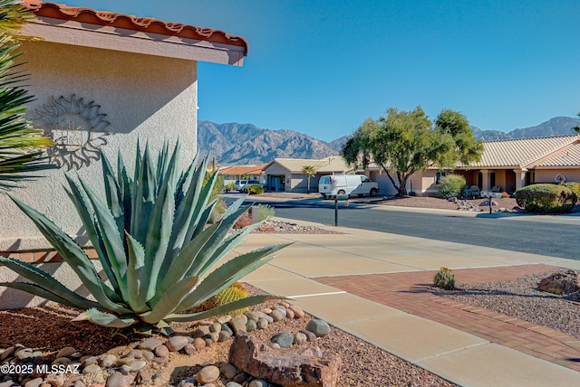 view of yard with a mountain view