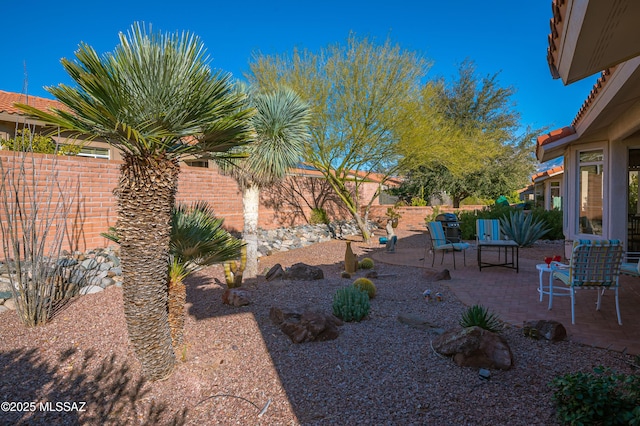 view of yard featuring a patio