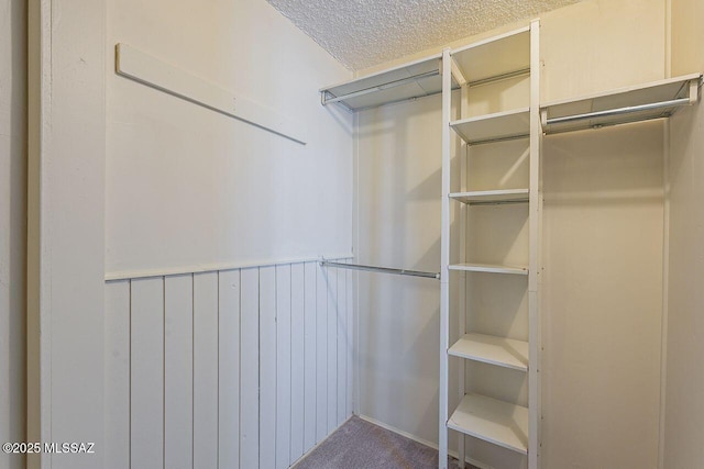 spacious closet featuring carpet