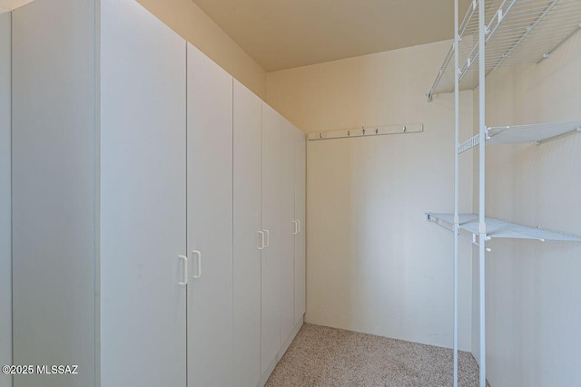 walk in closet with light colored carpet