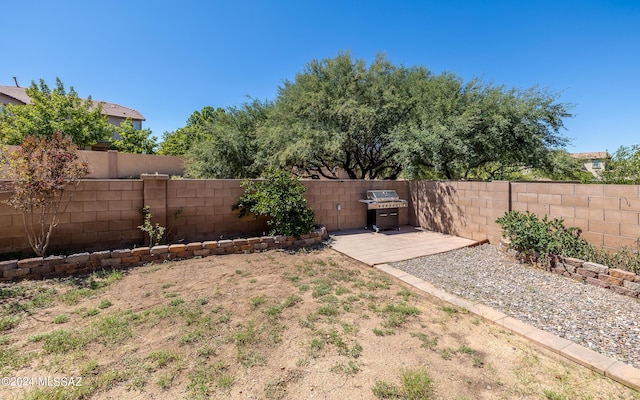 view of yard with a patio area