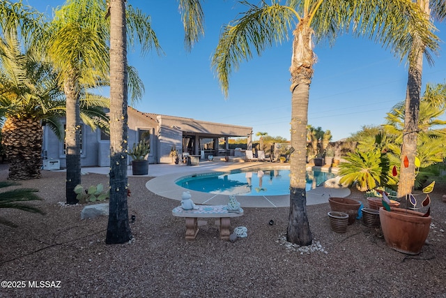 view of swimming pool with a patio