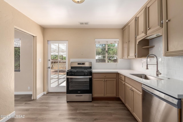 kitchen with decorative backsplash, stainless steel appliances, plenty of natural light, and sink