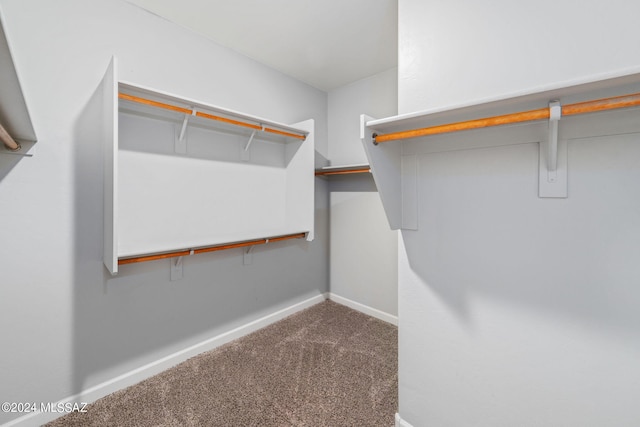 spacious closet with carpet flooring