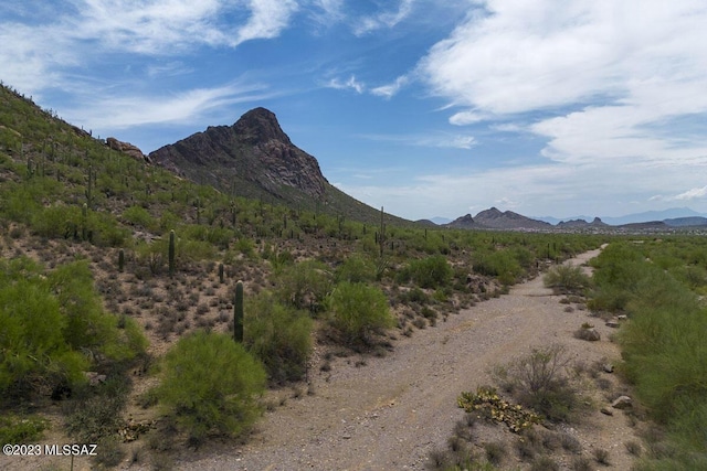 view of mountain feature