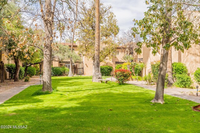 view of property's community featuring a lawn