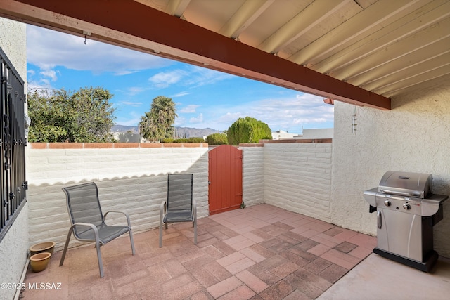 view of patio featuring area for grilling