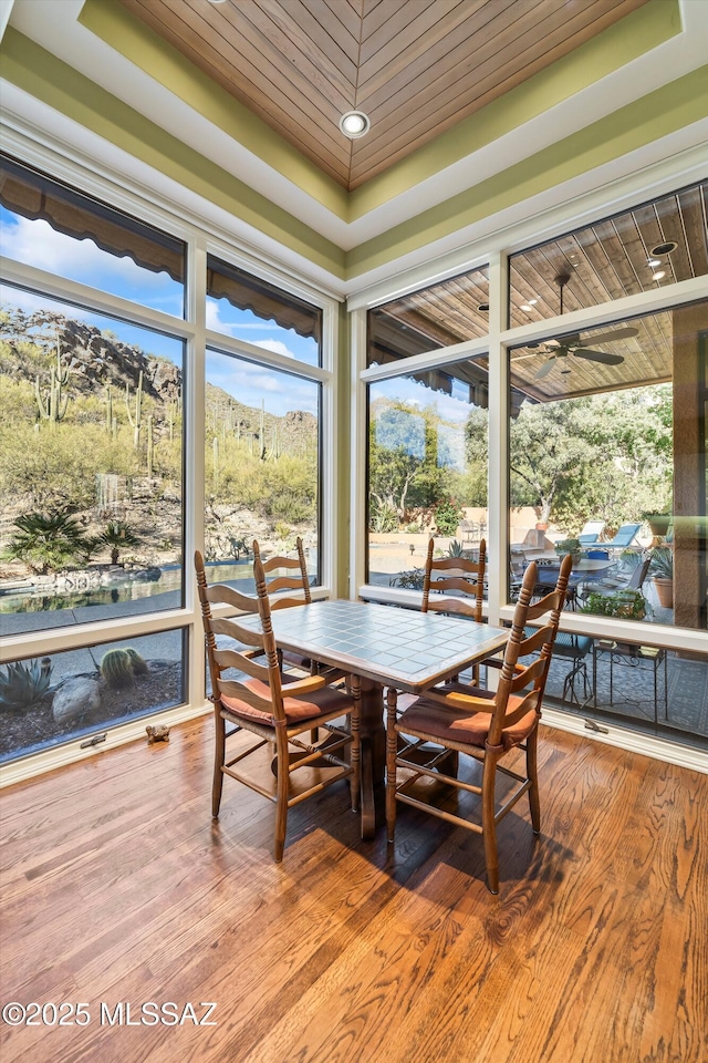 sunroom / solarium featuring a tray ceiling, a mountain view, and plenty of natural light