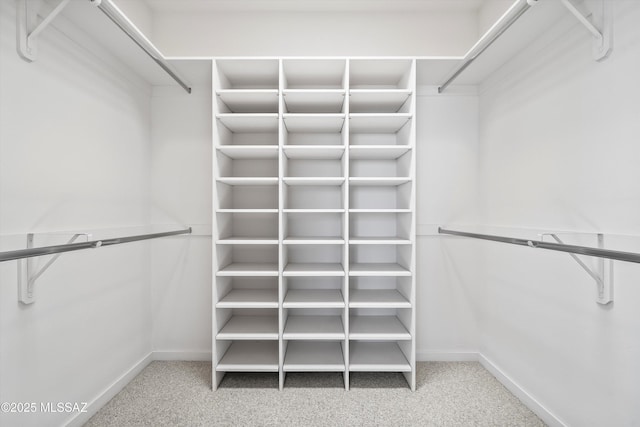 walk in closet with carpet